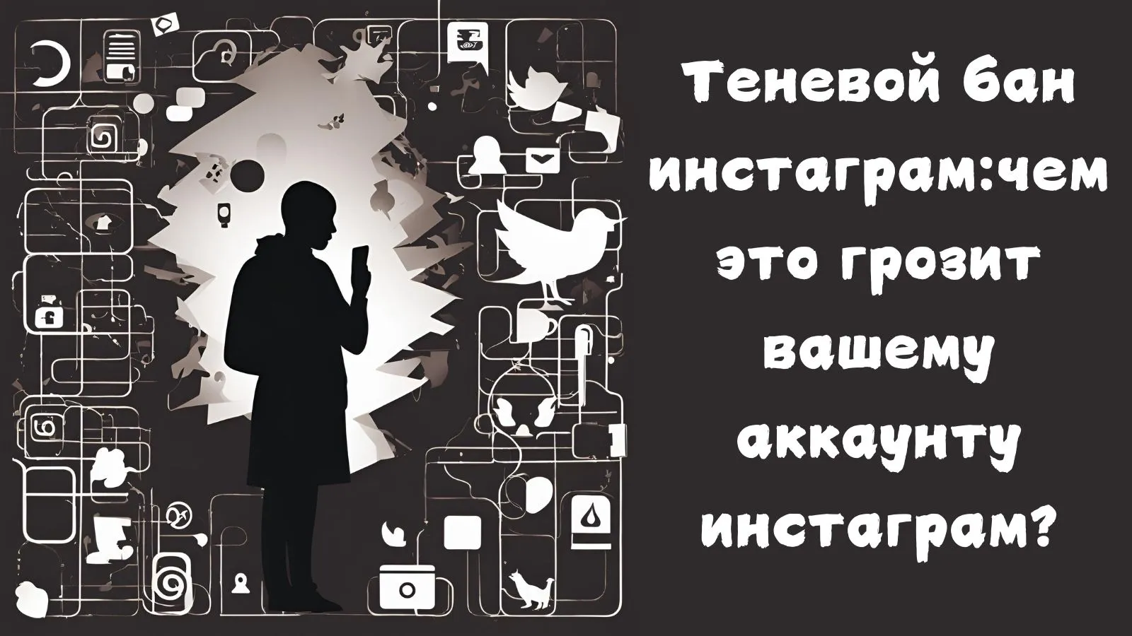cover_img
