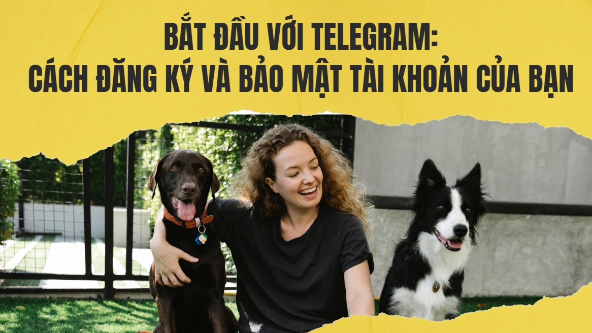 cover_img