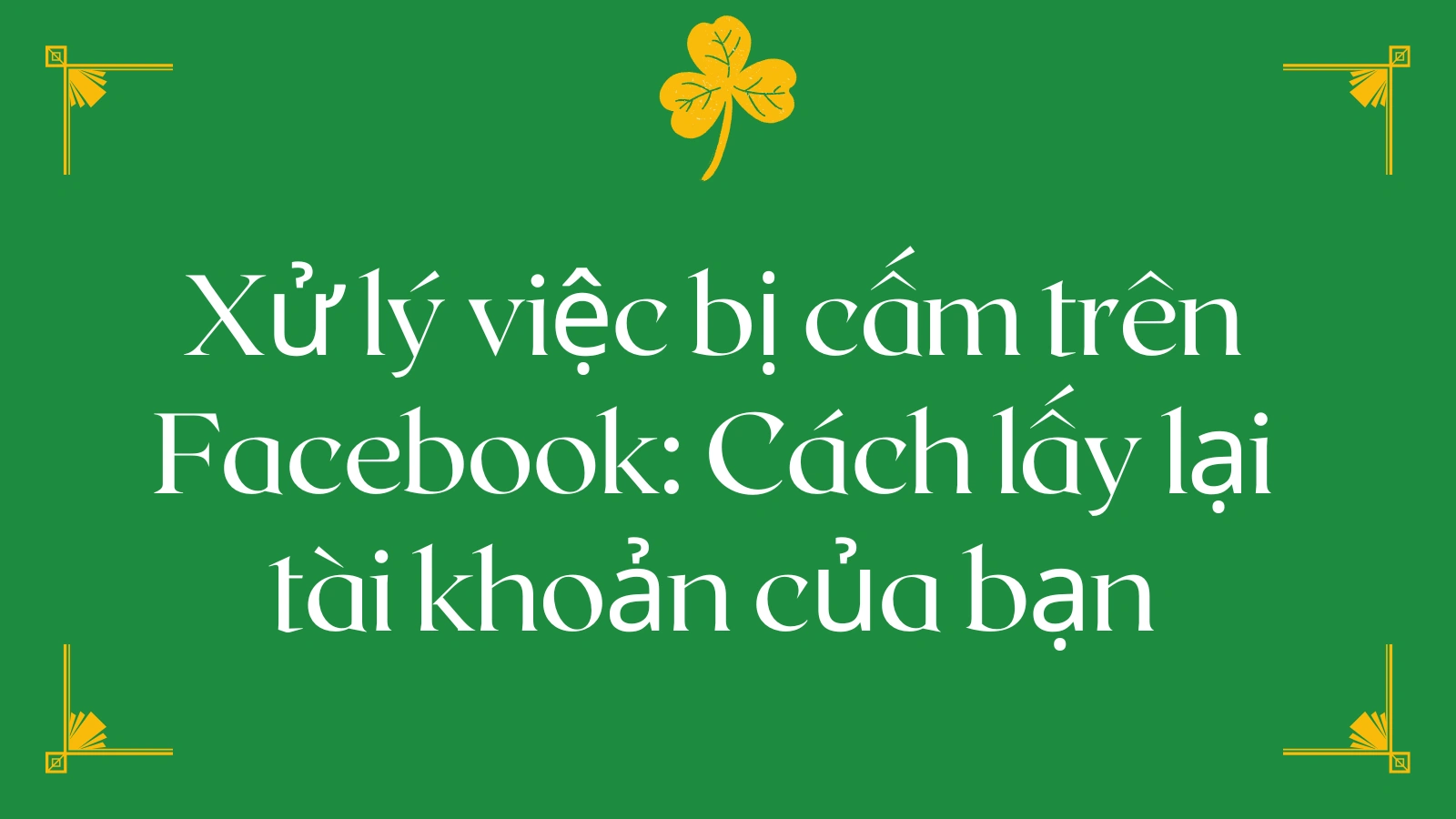 cover_img