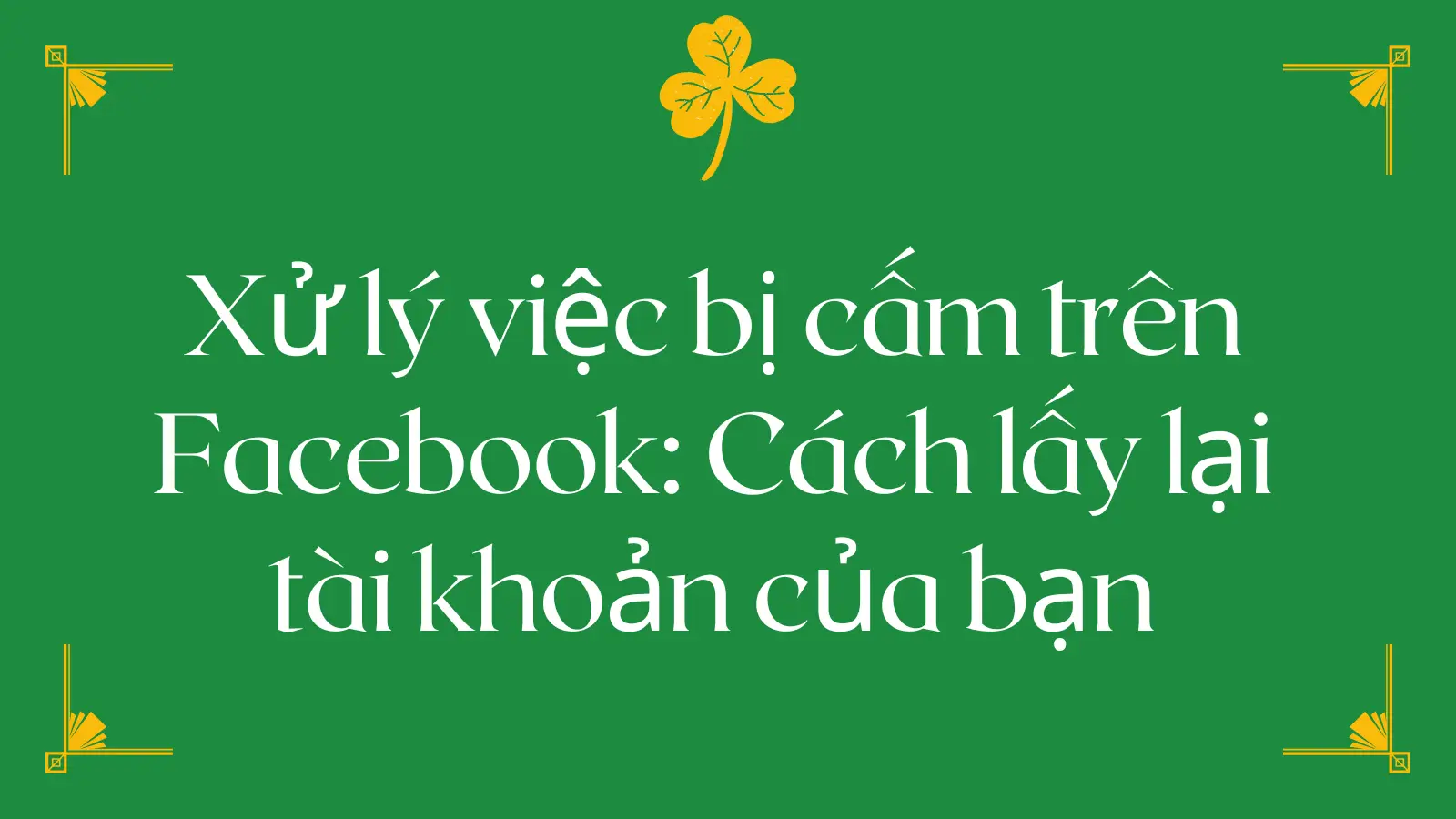 cover_img