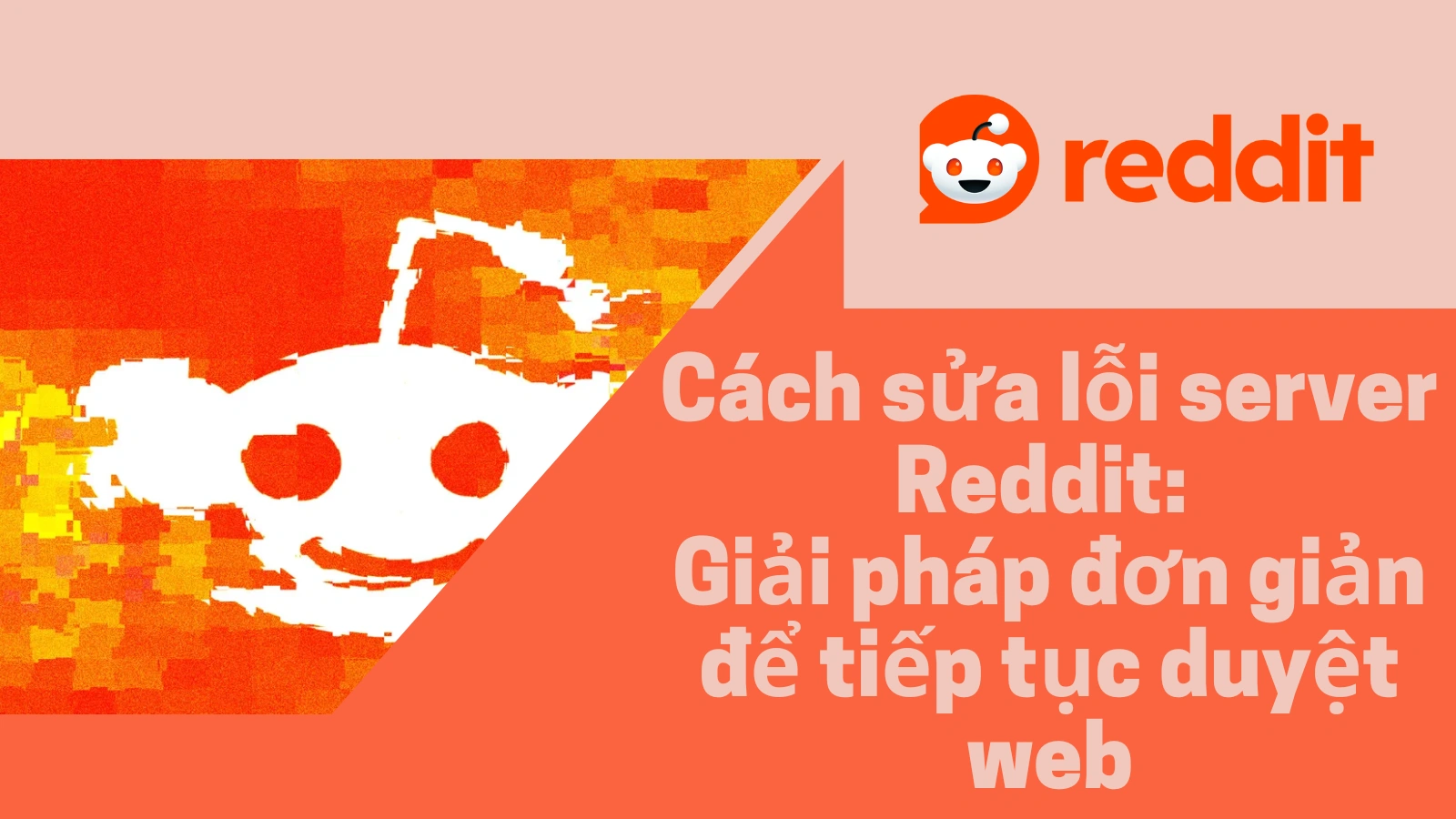 cover_img