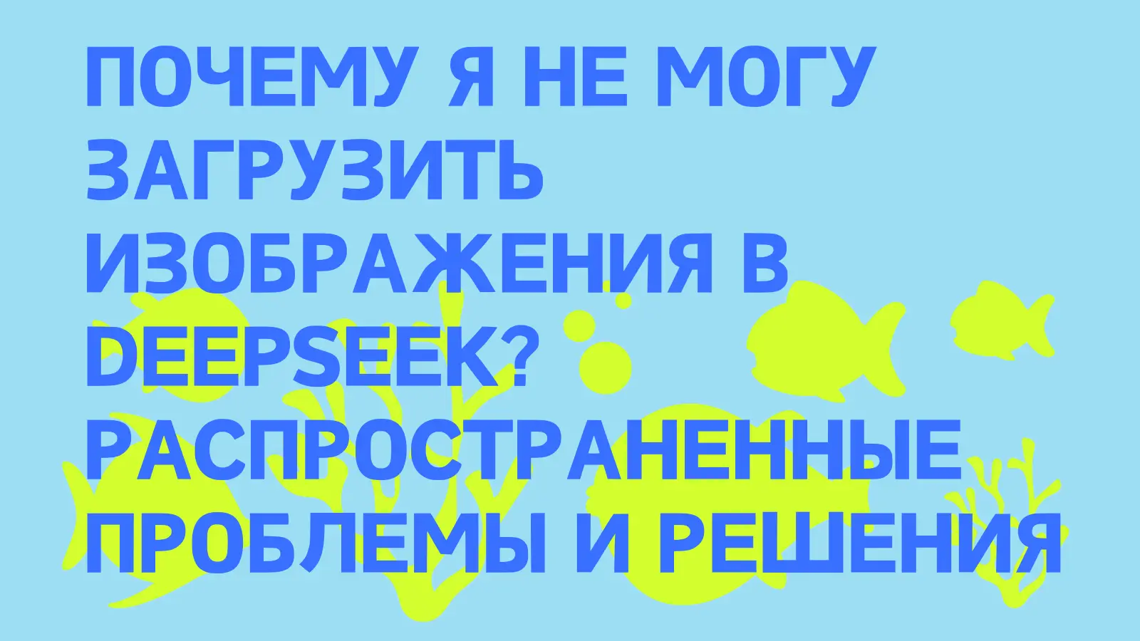 cover_img
