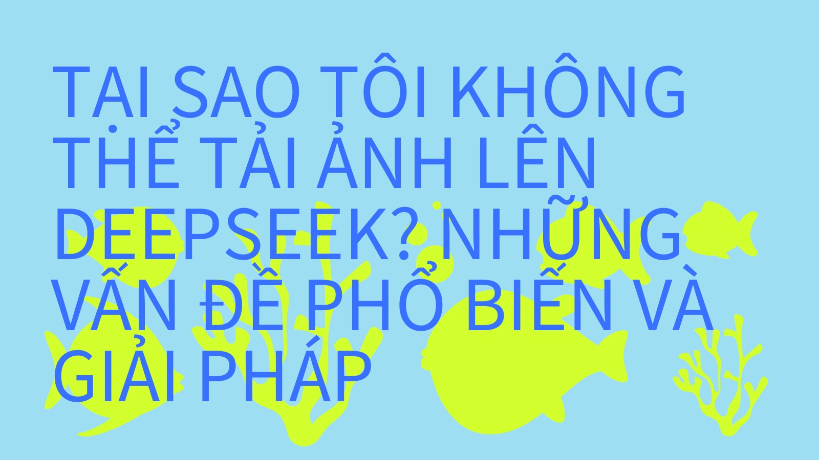 cover_img