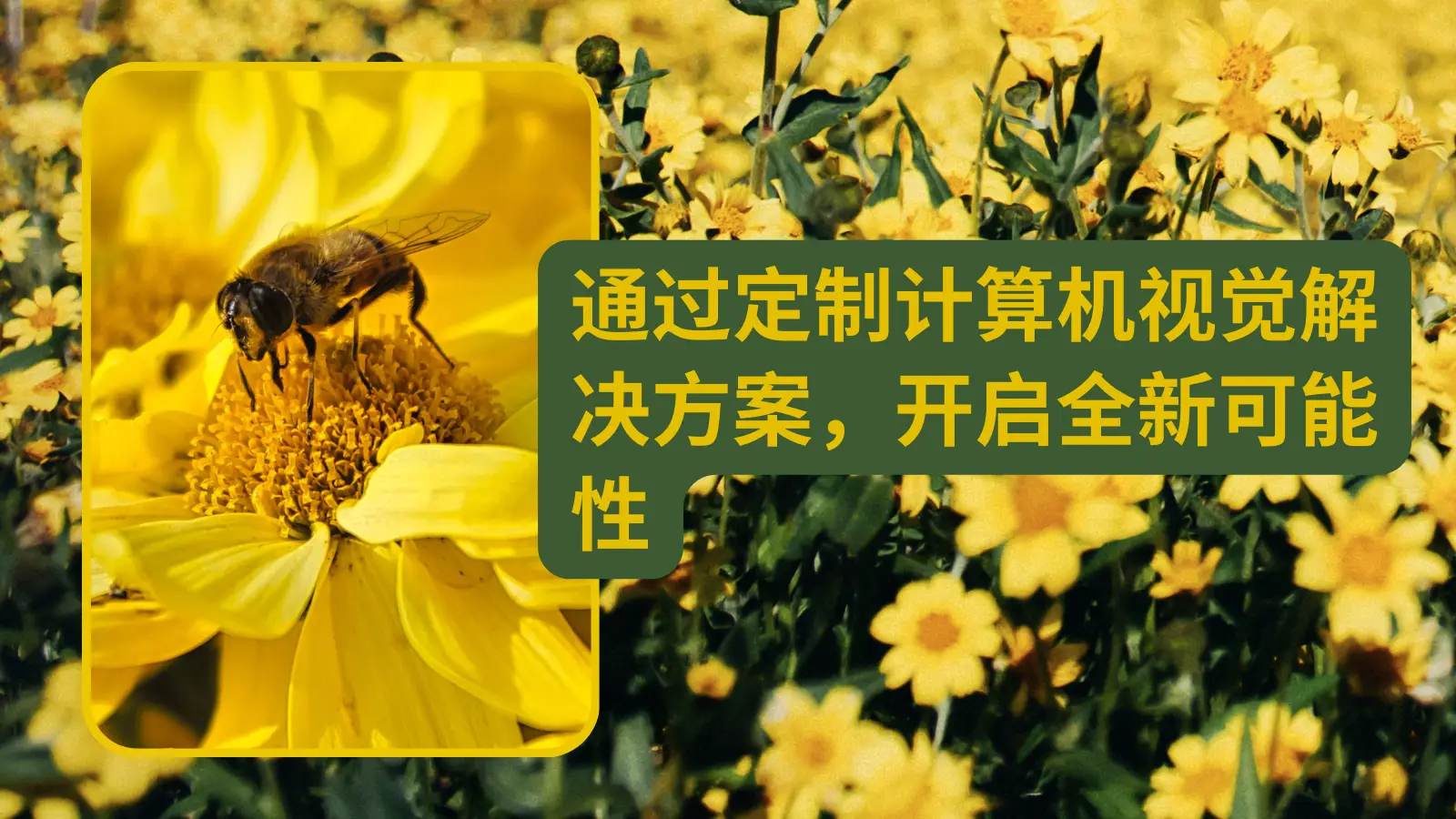 cover_img