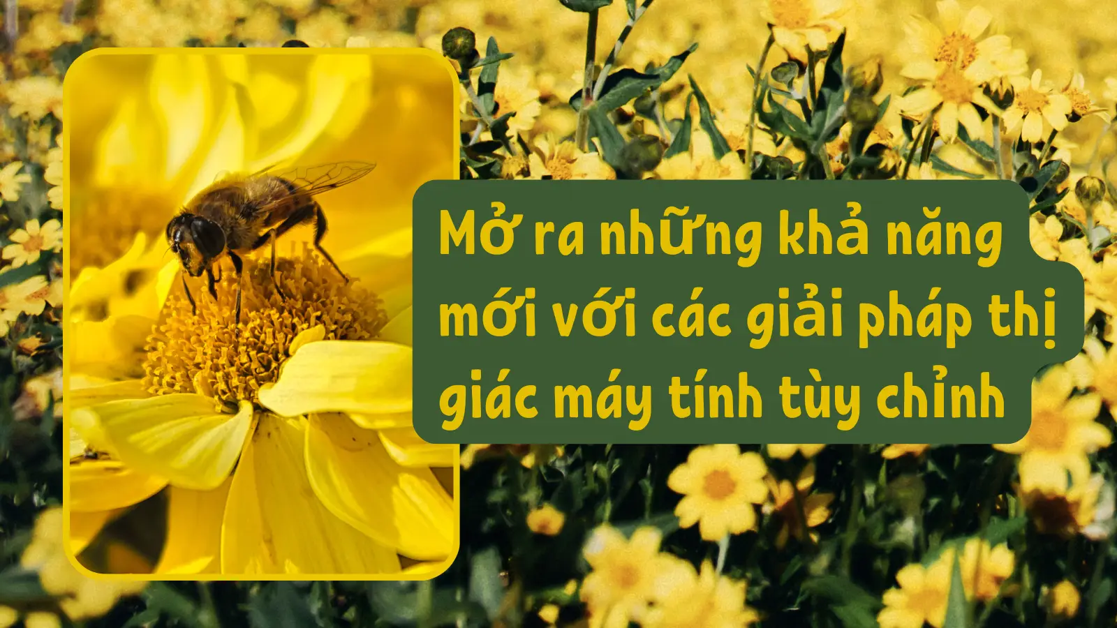 cover_img