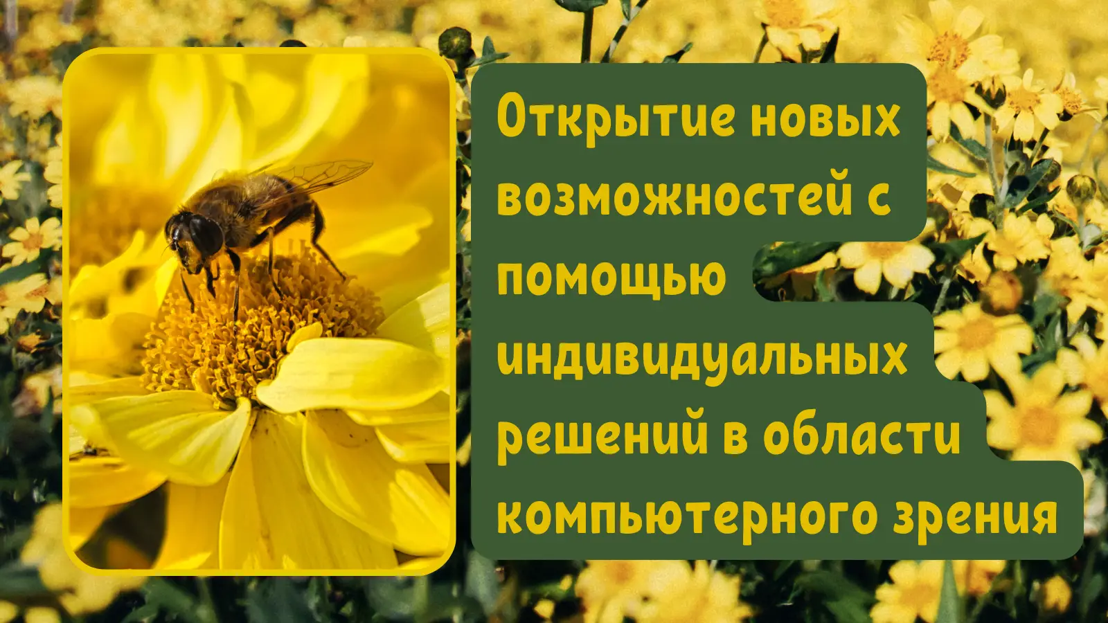 cover_img