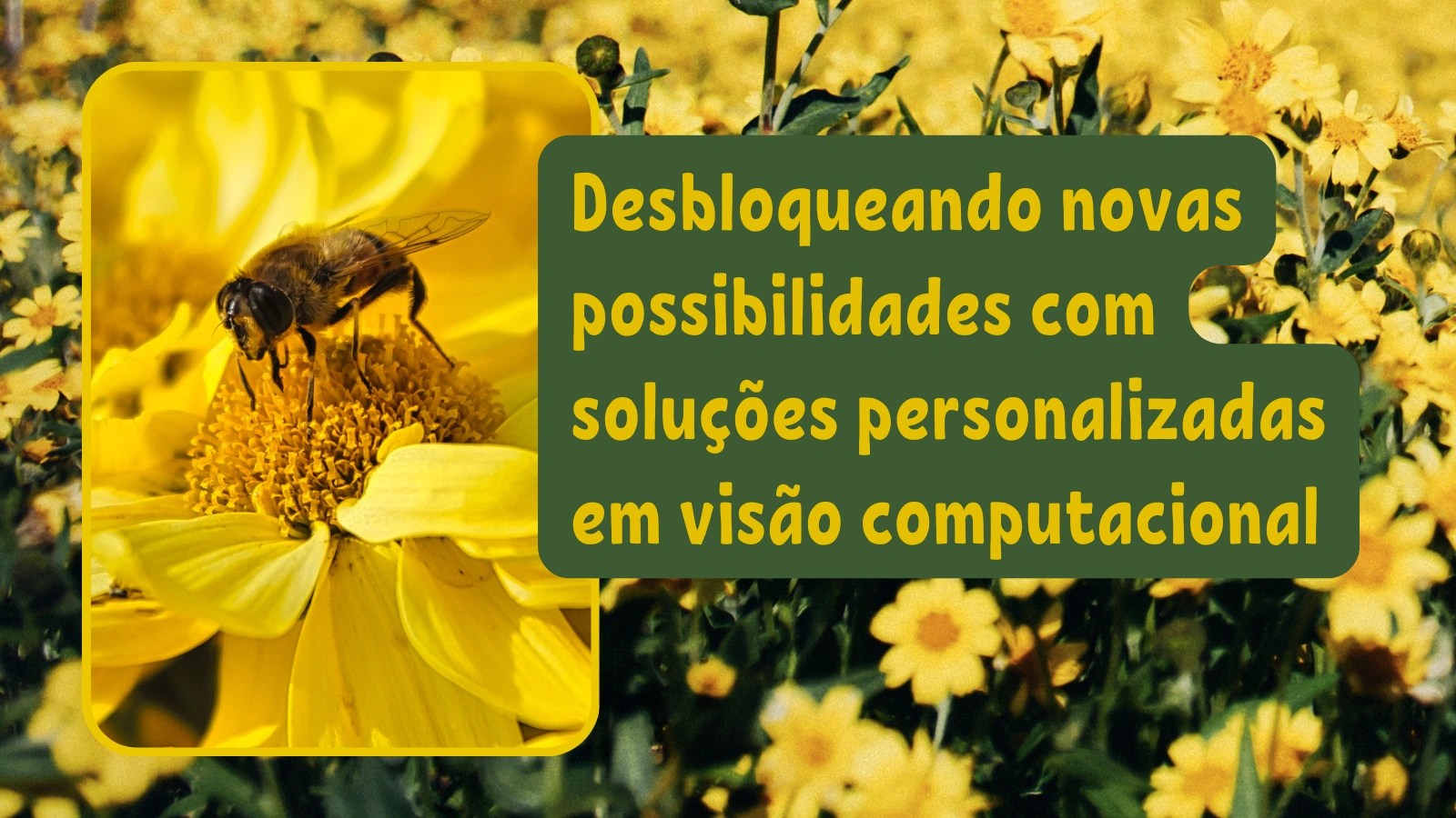 cover_img