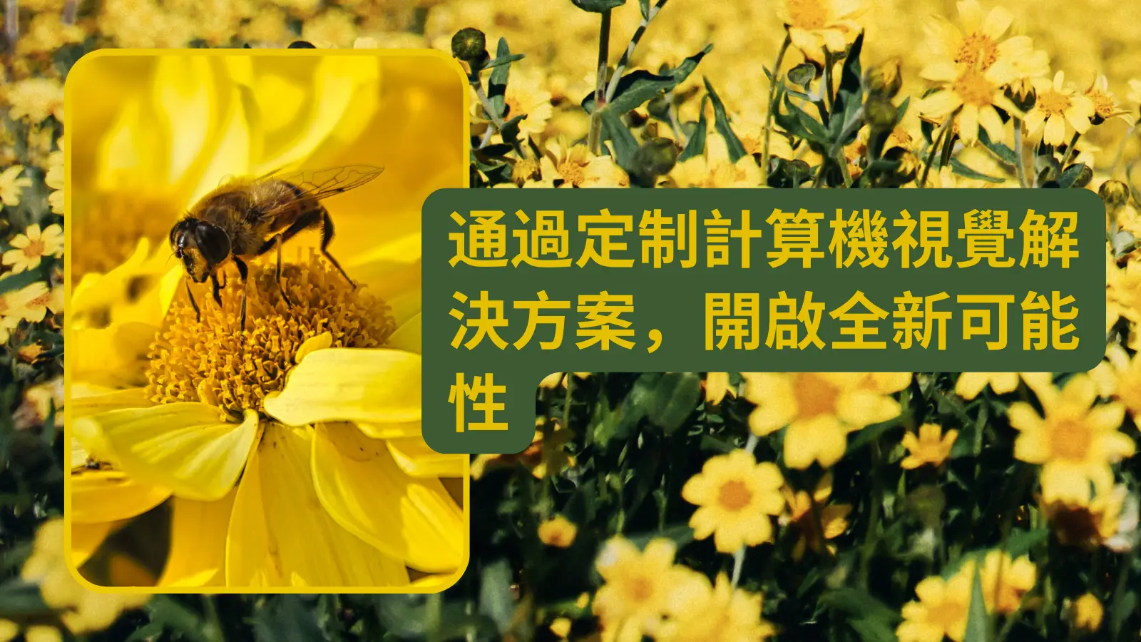 cover_img