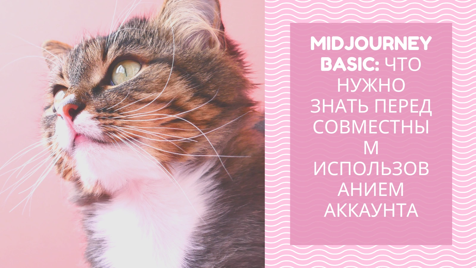 cover_img