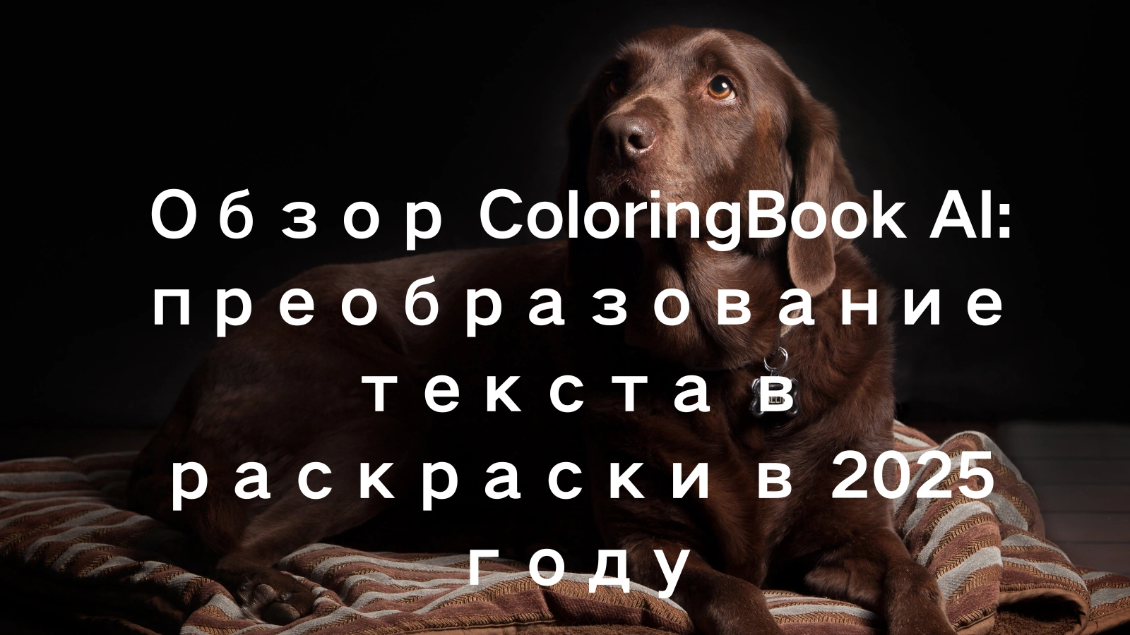 cover_img