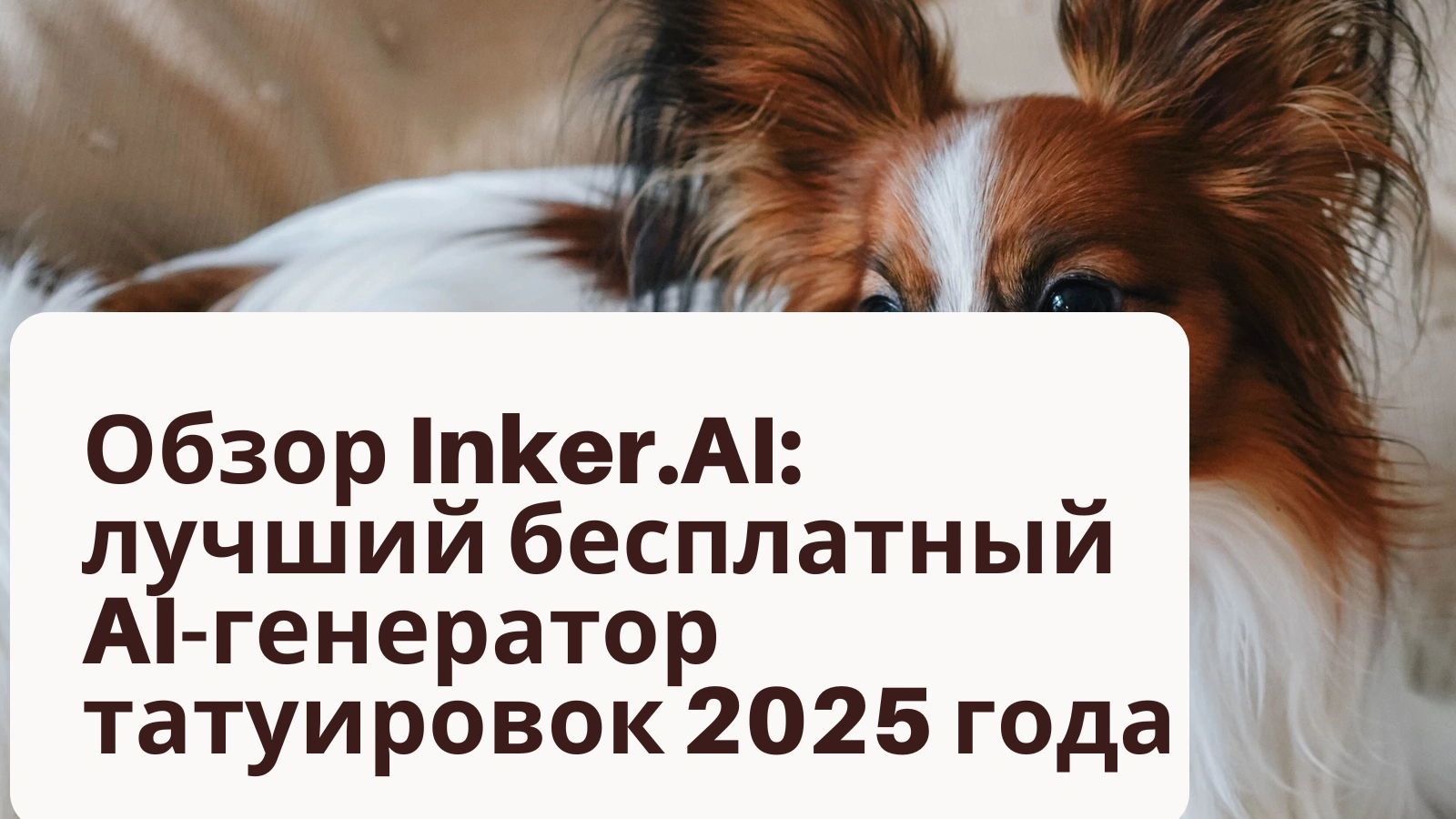 cover_img