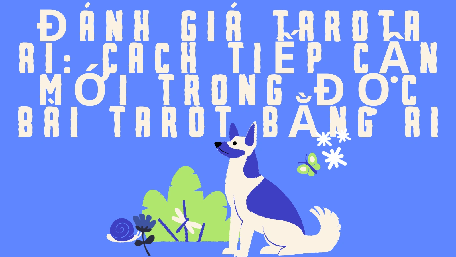 cover_img