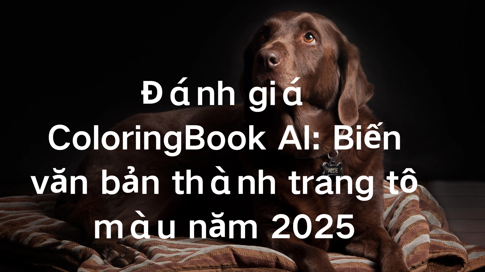 cover_img