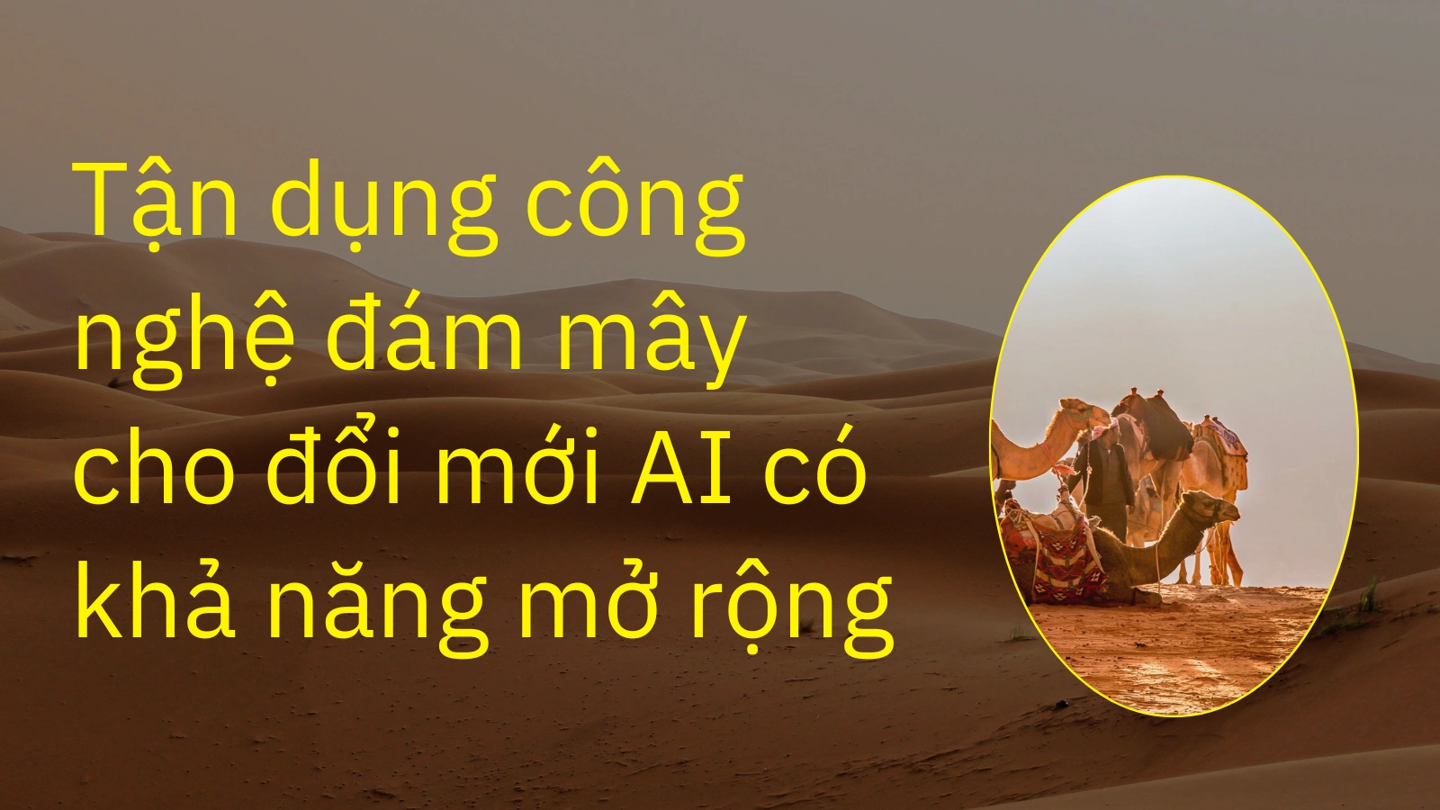 cover_img