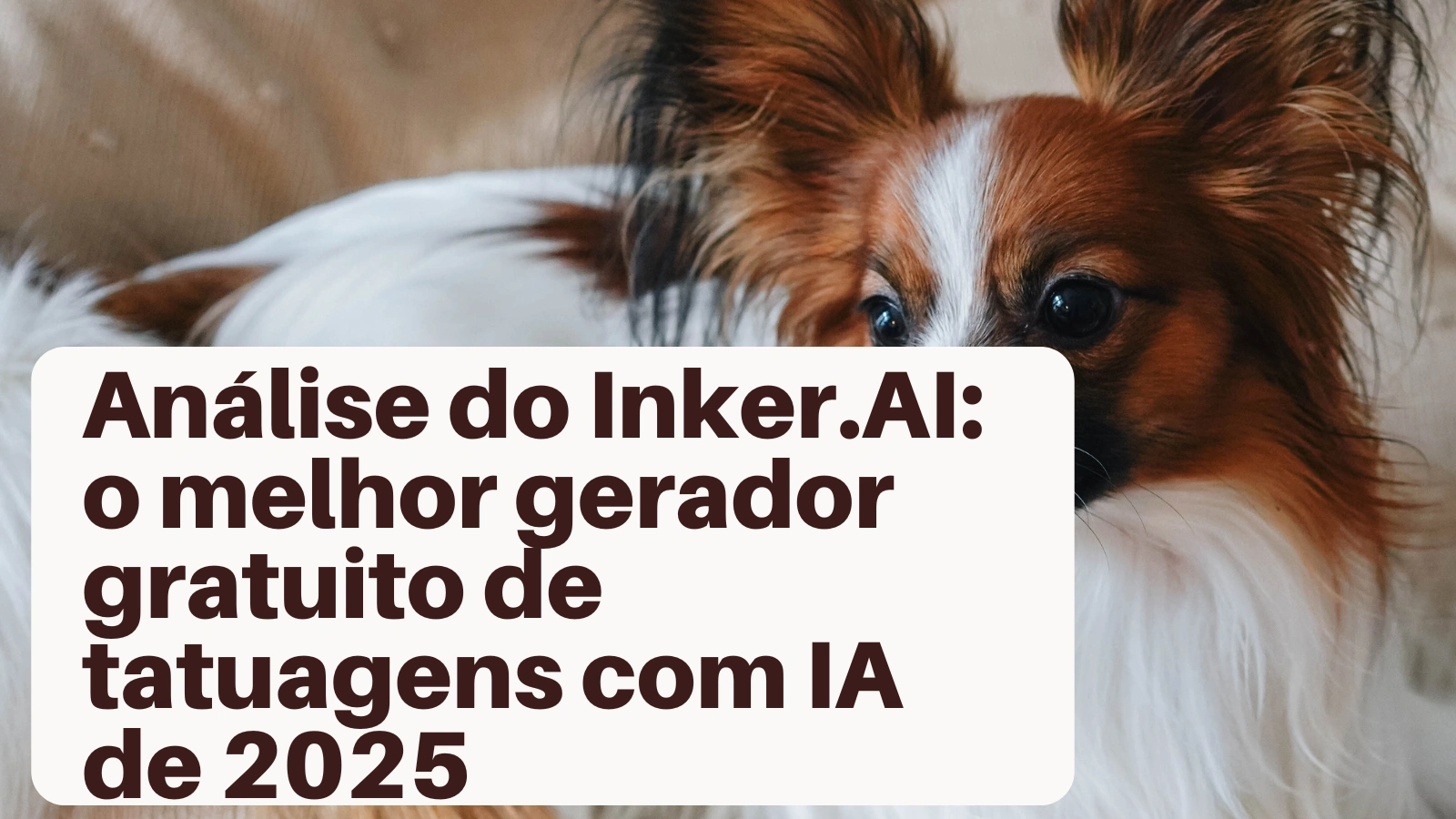 cover_img
