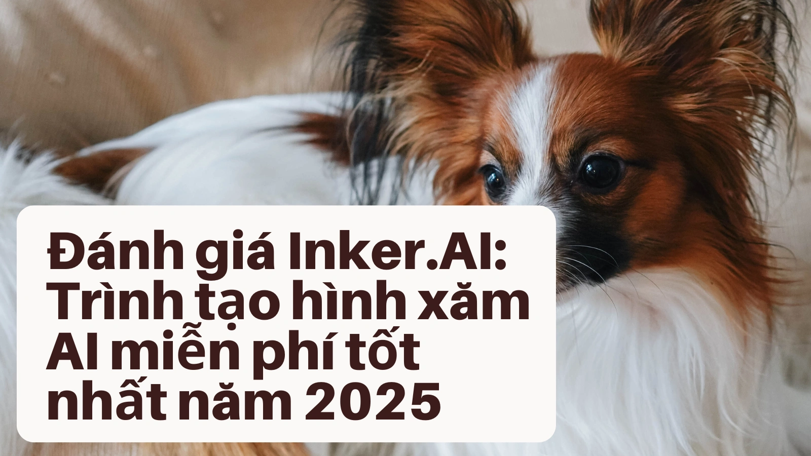 cover_img