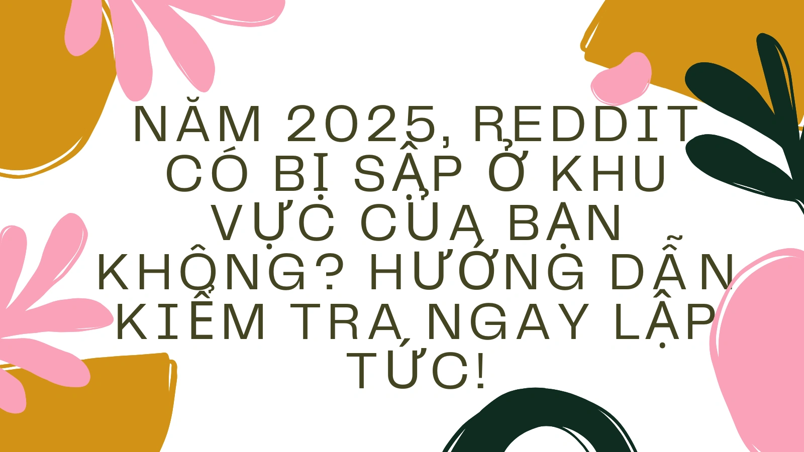 cover_img